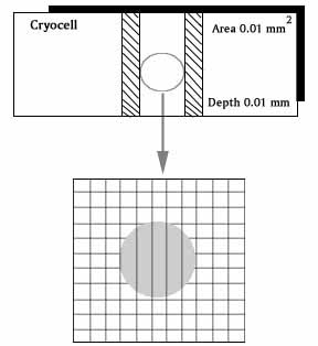 cryocell